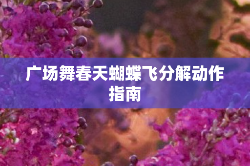 广场舞春天蝴蝶飞分解动作指南