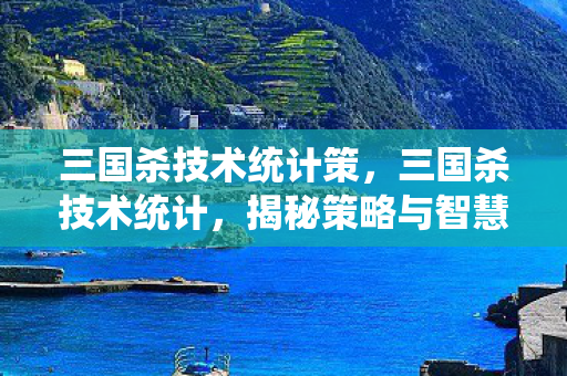 三国杀技术统计策，三国杀技术统计，揭秘策略与智慧的博弈