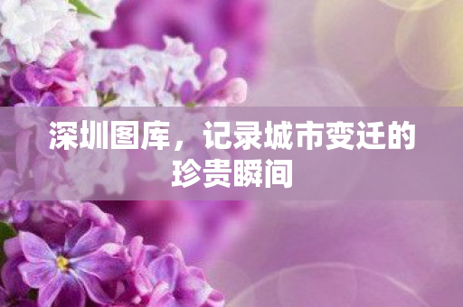 深圳图库，记录城市变迁的珍贵瞬间