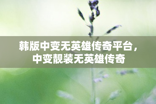 韩版中变无英雄传奇平台，中变靓装无英雄传奇
