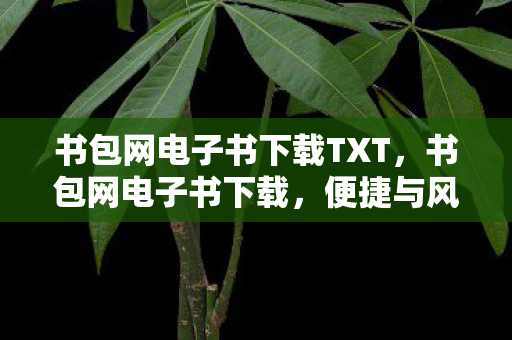 书包网电子书下载TXT，书包网电子书下载，便捷与风险并存