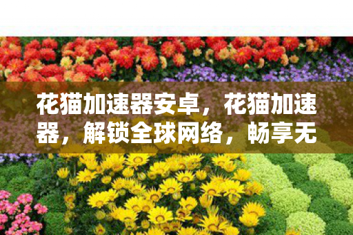 花猫加速器安卓，花猫加速器，解锁全球网络，畅享无限可能