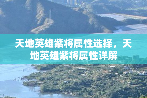 天地英雄紫将属性选择，天地英雄紫将属性详解