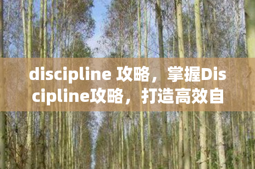 discipline 攻略，掌握Discipline攻略，打造高效自律生活的秘诀
