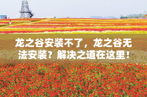 龙之谷安装不了，龙之谷无法安装？解决之道在这里！