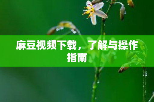 麻豆视频下载,了解与操作指南 麻豆视频下载,了解与操作指南