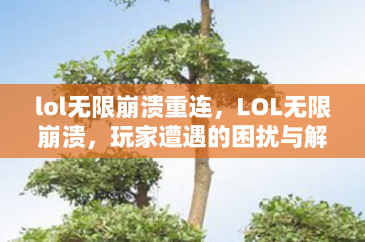 lol无限崩溃重连，LOL无限崩溃，玩家遭遇的困扰与解决方案