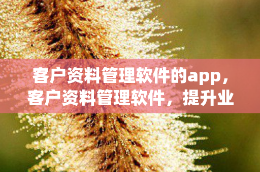客户资料管理软件的app，客户资料管理软件，提升业务效率与增强客户关系的利器