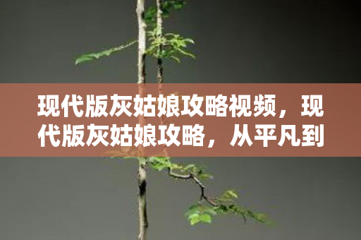 现代版灰姑娘攻略视频，现代版灰姑娘攻略，从平凡到非凡的蜕变之旅