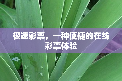极速彩票，一种便捷的在线彩票体验