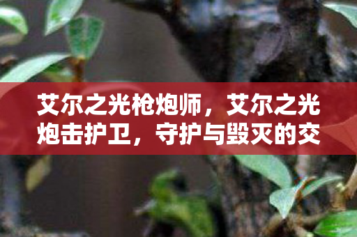 艾尔之光枪炮师，艾尔之光炮击护卫，守护与毁灭的交响曲
