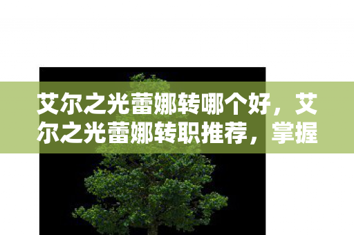 艾尔之光蕾娜转哪个好，艾尔之光蕾娜转职推荐，掌握战斗艺术的双枪游侠