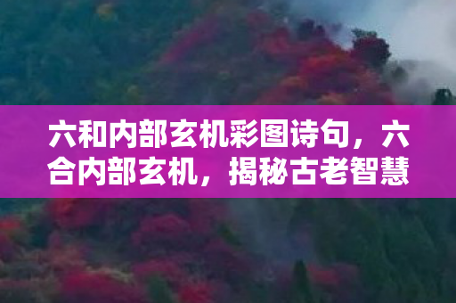 六和内部玄机彩图诗句，六合内部玄机，揭秘古老智慧的奥秘