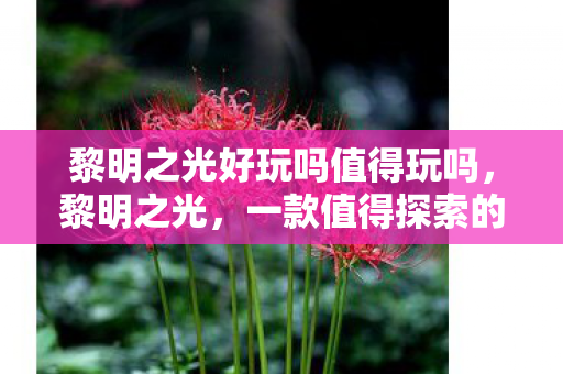 黎明之光好玩吗值得玩吗，黎明之光，一款值得探索的奇幻冒险游戏