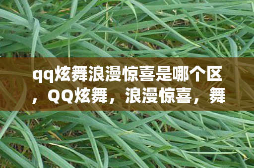 qq炫舞浪漫惊喜是哪个区，QQ炫舞，浪漫惊喜，舞动青春