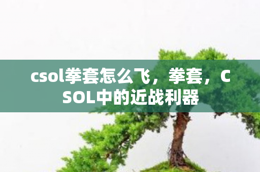 csol拳套怎么飞，拳套，CSOL中的近战利器