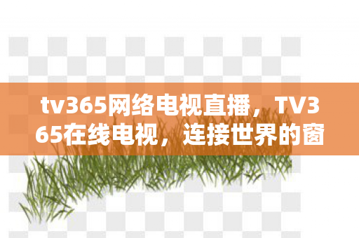tv365网络电视直播，TV365在线电视，连接世界的窗口