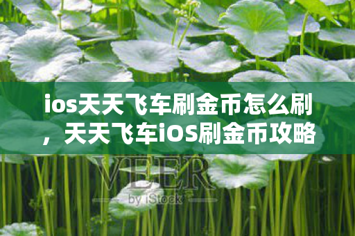 ios天天飞车刷金币怎么刷，天天飞车iOS刷金币攻略，轻松获取无限金币