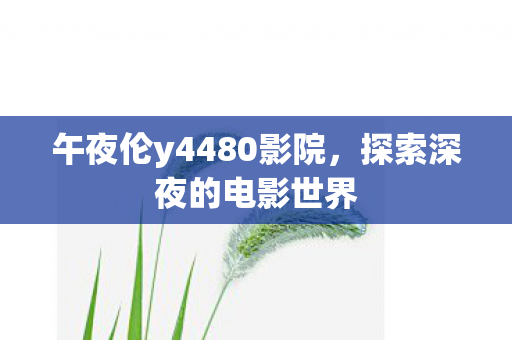 午夜伦y4480影院，探索深夜的电影世界