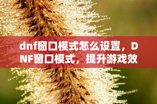 dnf窗口模式怎么设置，DNF窗口模式，提升游戏效率与舒适度的实用技巧