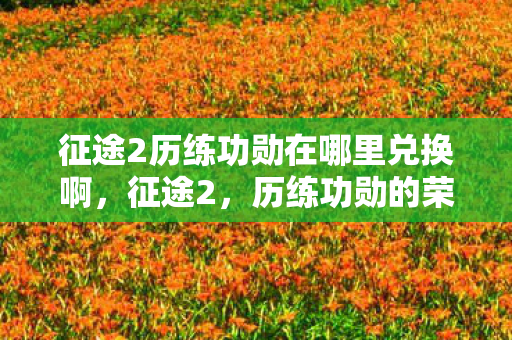 征途2历练功勋在哪里兑换啊，征途2，历练功勋的荣耀之路