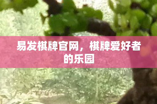 易发棋牌官网，棋牌爱好者的乐园