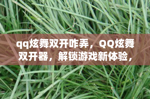 qq炫舞双开咋弄，QQ炫舞双开器，解锁游戏新体验，但需注意风险