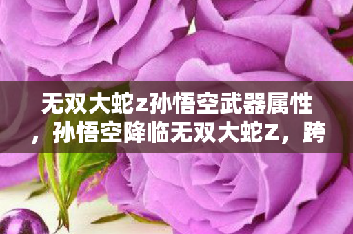 无双大蛇z孙悟空武器属性，孙悟空降临无双大蛇Z，跨界神话的终极对决