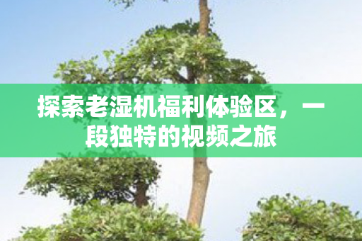 探索老湿机福利体验区，一段独特的视频之旅
