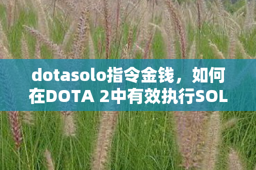 dotasolo指令金钱，如何在DOTA 2中有效执行SOLO指令