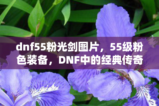 dnf55粉光剑图片，55级粉色装备，DNF中的经典传奇