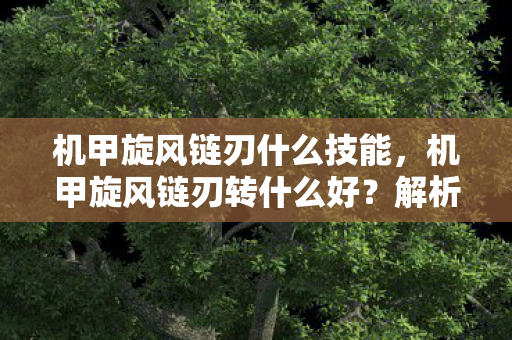 机甲旋风链刃什么技能，机甲旋风链刃转什么好？解析与推荐