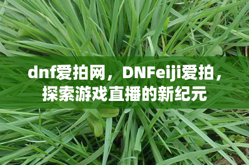 dnf爱拍网，DNFeiji爱拍，探索游戏直播的新纪元