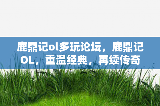 鹿鼎记ol多玩论坛，鹿鼎记OL，重温经典，再续传奇
