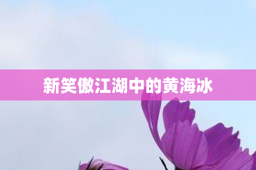 新笑傲江湖中的黄海冰