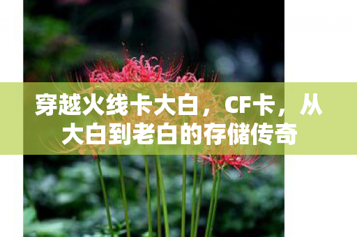 穿越火线卡大白，CF卡，从大白到老白的存储传奇