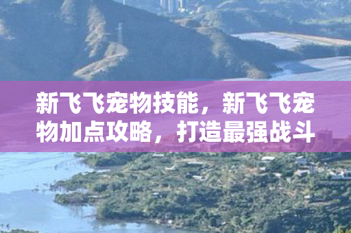 新飞飞宠物技能，新飞飞宠物加点攻略，打造最强战斗伙伴