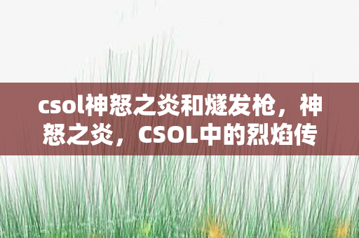 csol神怒之炎和燧发枪，神怒之炎，CSOL中的烈焰传奇