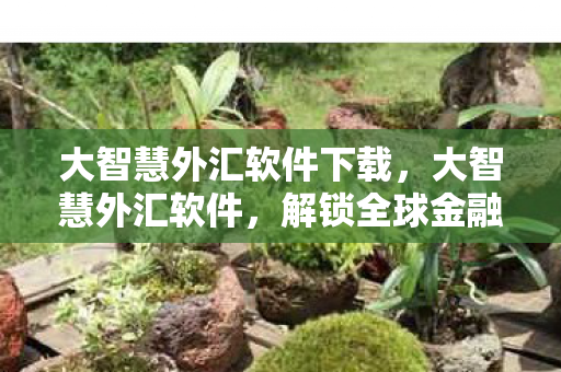 大智慧外汇软件下载，大智慧外汇软件，解锁全球金融市场的智能钥匙