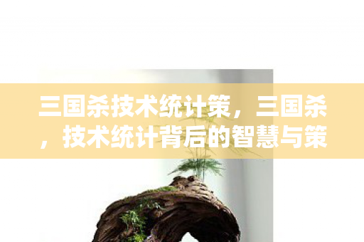 三国杀技术统计策，三国杀，技术统计背后的智慧与策略