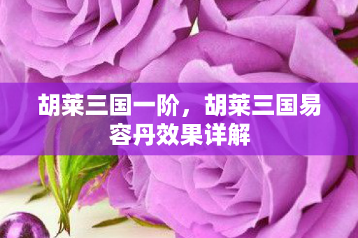 胡莱三国一阶，胡莱三国易容丹效果详解