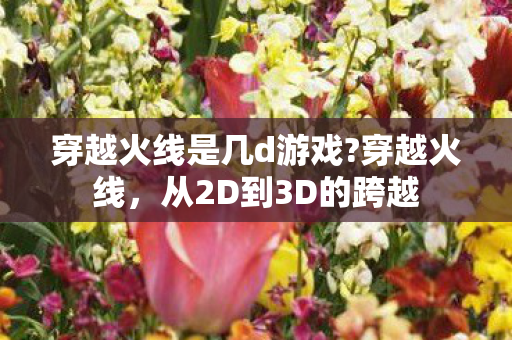 穿越火线是几d游戏?穿越火线，从2D到3D的跨越