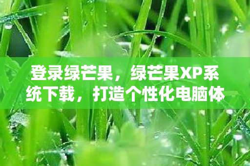登录绿芒果，绿芒果XP系统下载，打造个性化电脑体验