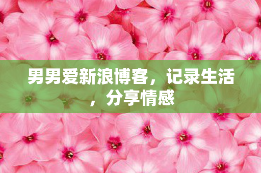 男男爱新浪博客，记录生活，分享情感