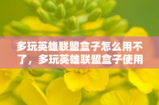 多玩英雄联盟盒子怎么用不了，多玩英雄联盟盒子使用指南，打造你的游戏利器