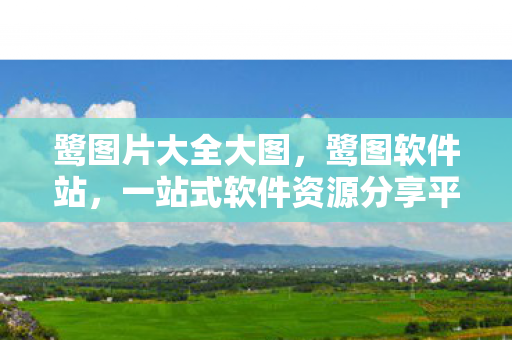 鹭图片大全大图，鹭图软件站，一站式软件资源分享平台