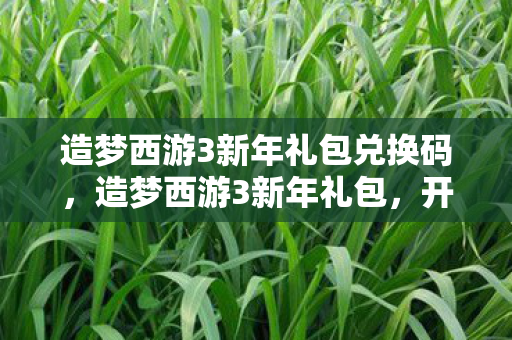 造梦西游3新年礼包兑换码，造梦西游3新年礼包，开启全新冒险之旅