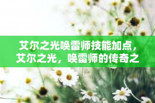 艾尔之光唤雷师技能加点，艾尔之光，唤雷师的传奇之旅
