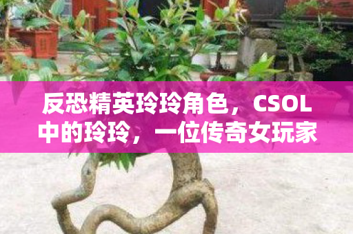 反恐精英玲玲角色，CSOL中的玲玲，一位传奇女玩家的故事