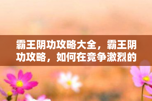 霸王阴功攻略大全，霸王阴功攻略，如何在竞争激烈的环境中脱颖而出